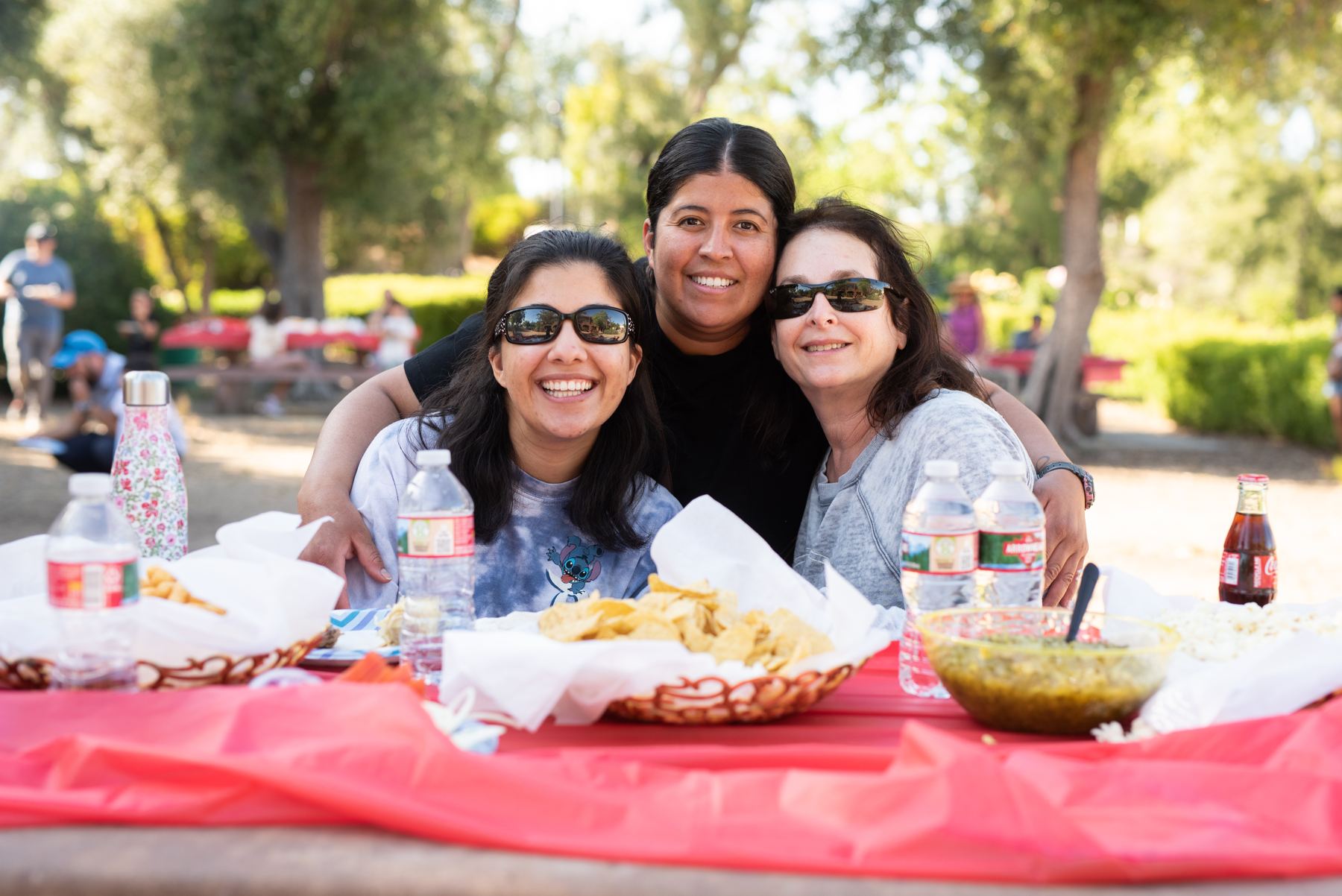 Women at a picnic