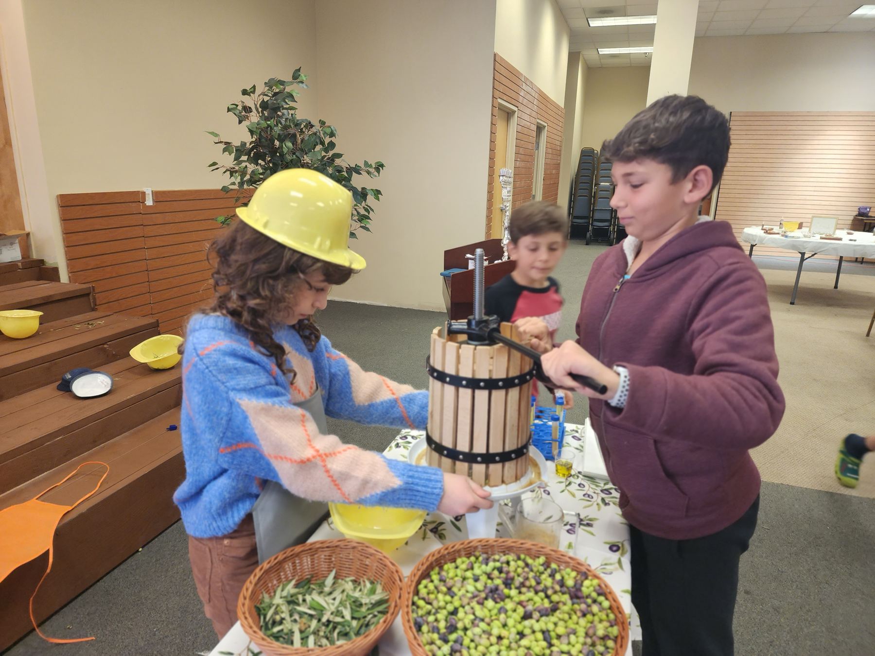 Children pressing olive oil for the menorah