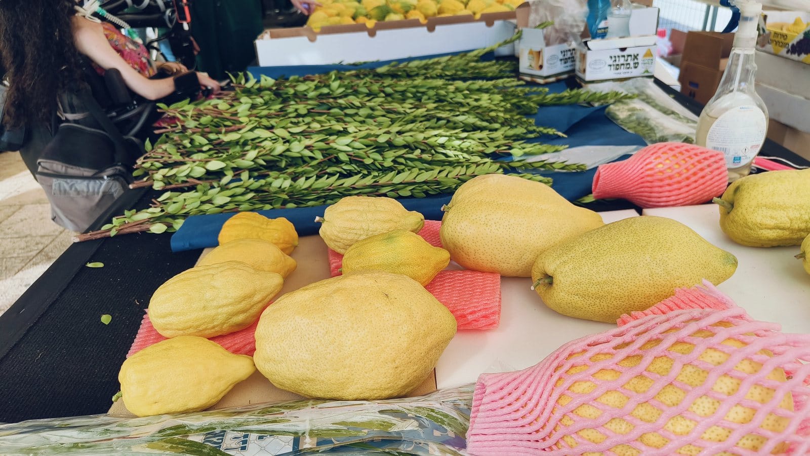 Etrogim laid out on a market table beside bundles of green hadassim branches, with more boxed etrogim stacked behind.